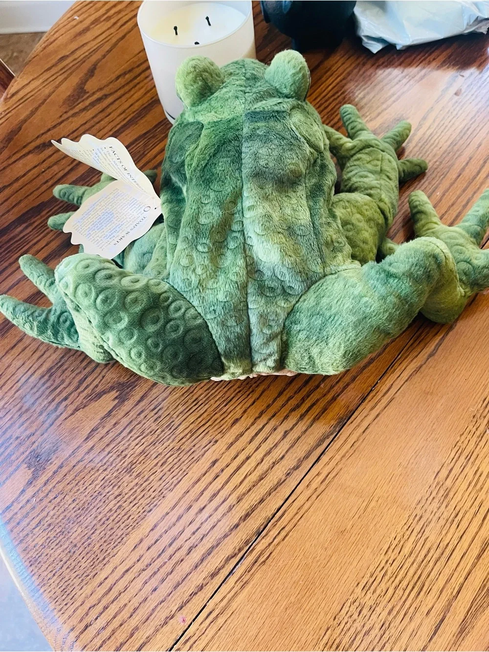 Folkmanis Puppet!! Green Toad Hand Puppet - Plush Small Pets Puppet
